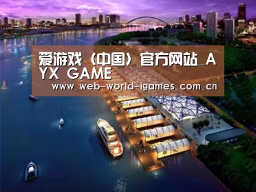 案例展示八