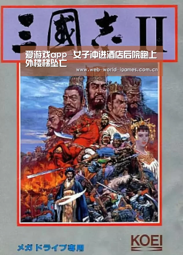 爱游戏app-女子冲进酒店后院跑上外楼梯坠亡(图3) 爱游戏